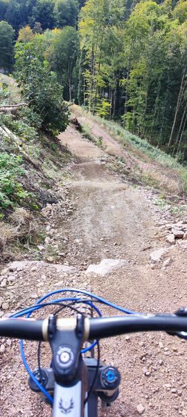 Stufen kurz vor Ende des Trails
