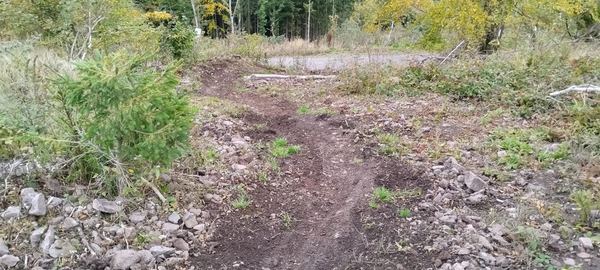 Ende erster Abschnitt am Krummen Weg